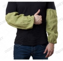 ����������� ����������� (���� ���������)