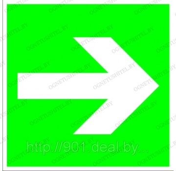 ����������� ���������