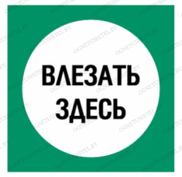 ���� ������� �����