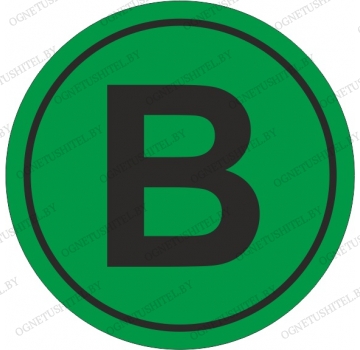 ���� ����������� ������������